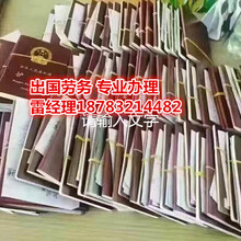 山東合眾出入境服務 專業勞務服務的橋梁與保障